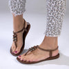 Ipanema Rumi Ladies Thong Sandals - Brown-Ipanema-Buy shoes online